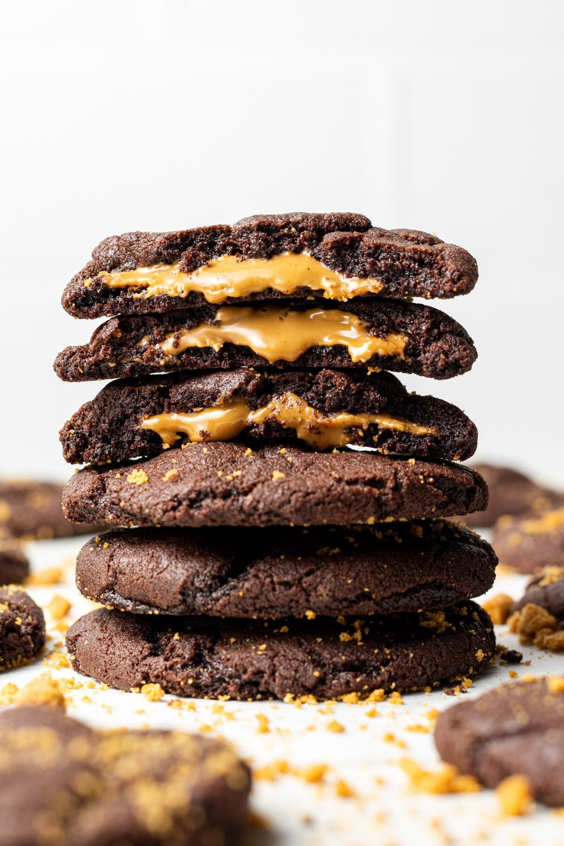 Welcome to StuffedHQ — Canada’s Home for All Things Stuffed & Sweet!